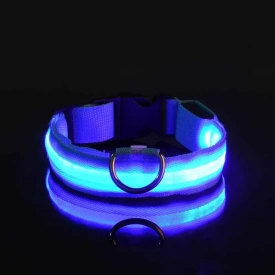 blue-glow-in-the-dark-dog-collar-1_1030720700