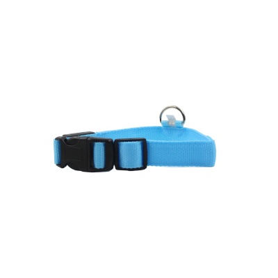 reflective-collar-blue-2_1729937274