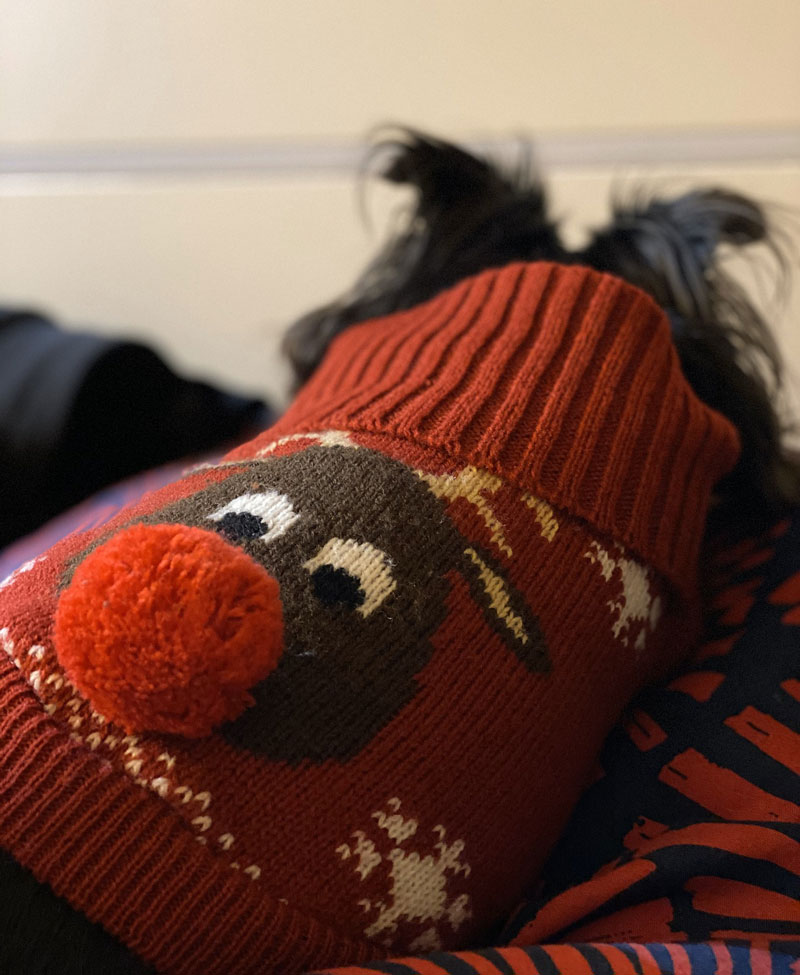 Contact Imani's Place