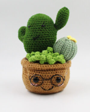 Potted Cactus